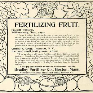 1895 Ad Bradley Fruit Fertilizer Farm 843 Granite Bldg Rochester NY CCG1 Pictures Cheap Pice