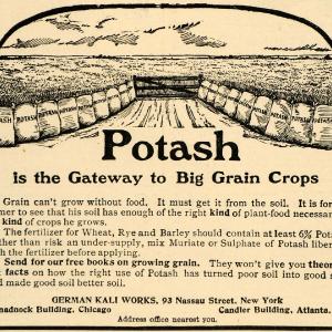 1907 Ad German Kali Works Potash Grain Crop Plant Food - ORIGINAL CG1 Affordable Cheap Pice