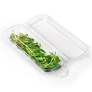 0.25 oz. Hanging Fresh Herb & Microgreen Package (0325) Pay With Paypal Cheap Online