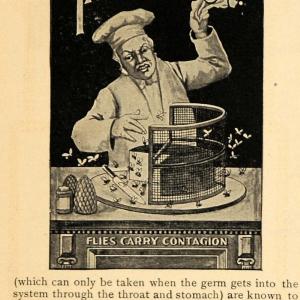 1902 Ad Tanglefoot Sticky Fly Paper Chef Disease Insect - ORIGINAL GH3 With Paypal Cheap Pice