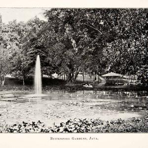 1902 Print Botanical Gardens Buitenzorg Island Java Indonesia Fountain XGWB7 Best Store To Get Cheap Online