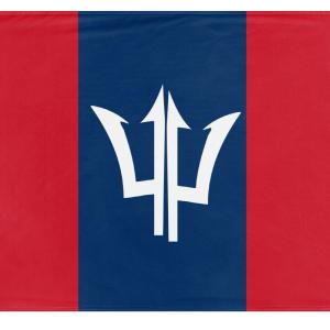 Dominican Barbados flag (Flag Mashup Bot) Buy Cheap 2025 Unisex