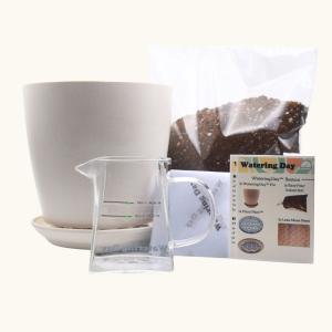 Watering Day System Starter Kit - Bamboo Fiber Cheap Sale Lowest Pice