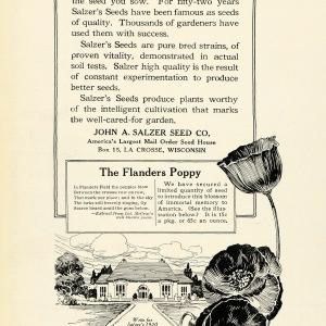 1920 Ad John A. Salzer's Seeds Flanders Poppy Flowers Papaver Rhoeas Floral HB2 View Cheap Online