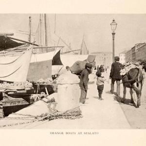 1908 Print Split Donkey Croatia Dalmatia Holbach Orange Vendor Market Boat XGIA1 Cheap Sale Outlet Locations