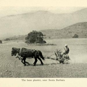 1913 Print Farmer Horse Plow Bean Planter Santa Barbara Field Yoke XGM4 Cheap Sale Inexpensive