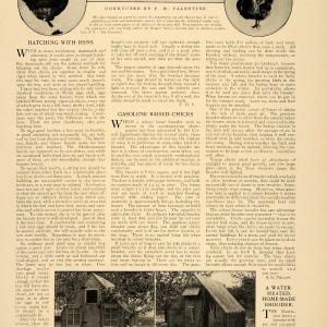 1913 Article Poultry Valentine Chick Squab Mondaines Hen Bird House Coop CLA1 Sale Shop Offer