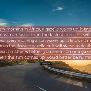 Every morning in Africa Cheap Sale With Credit Card