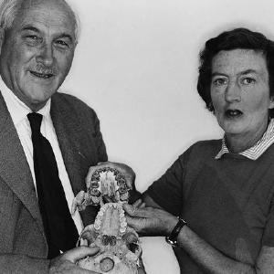 Louis and Mary Leakey Nicekicks Online