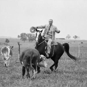 Lyndon B. Johnson jase konja Ebay Online