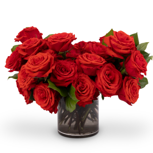 One and Only Discount Cheap