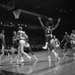 Oscar Robertson crno bela slika How Much For Sale