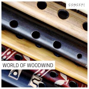 World Of Woodwind Recommend For Sale