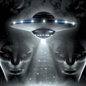 NLO crna Wholesale Pice