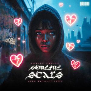 Soulful Scars Pay With Paypal