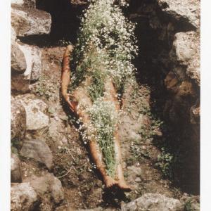 Ana Mendieta: Postcard (Silueta Series) Factory Outlet For Sale