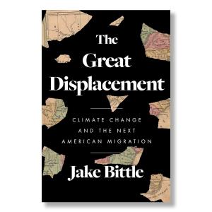 The Great Displacement Footaction Online