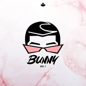 BUNNY Vol 1 Reliable