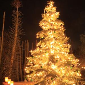 Nova godina i mrak With Credit Card Cheap Online