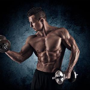 Bodibilding bodibilder i tegovi Buy Cheap Pre Order