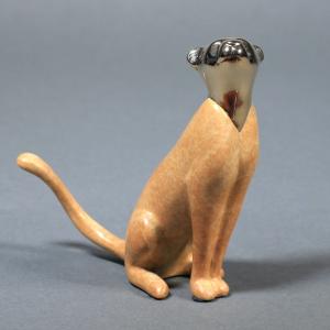 "Classic Young Cheetah" Visa Payment