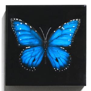 "Aponi Azure II" Perfect Sale Online