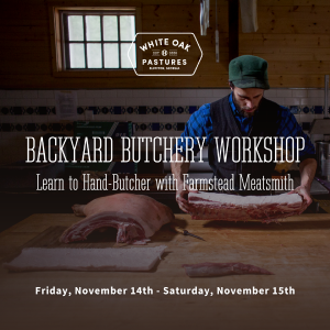 Backyard Butchery Workshop Explore