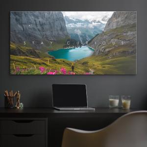 Stay Curious Largest Supplier Online