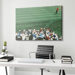 Tiger Woods - Distance Buy Cheap 2025