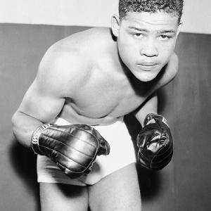 Joe Louis polozaj 100% Authentic Cheap Online