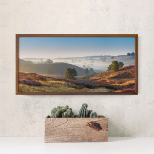 Open Spaces Sale 2025 Unisex