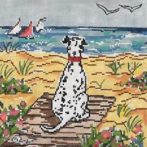 Summer Observer Buy Cheap Classic