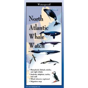 Whale Watch of the North Atlantic - Folding Guide Sale Extremely