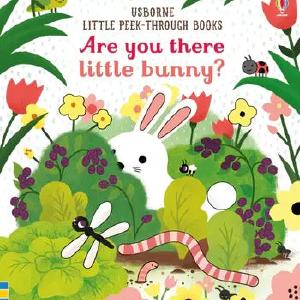 Are You There Little Bunny board book Free Shipping For Sale