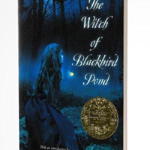 THE WITCH OF BLACKBIRD POND Cheap Sale Popular