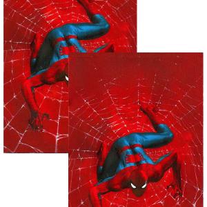 Amazing Spider-Man #17 Dell'Otto Megacon Variant SET Buy Cheap Low Shipping