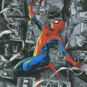 Amazing Spider-Man #1 Travis Charest 1:25 Retail Variant Collections