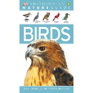 Nature Guide - Birds Pay With Visa Cheap Online