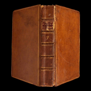 Nature Display'd, Volume VII (English Edition) Cheap Sale 2025 Newest