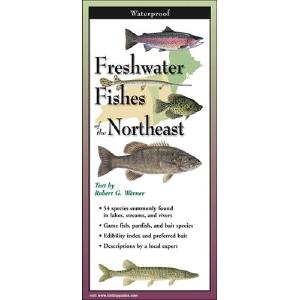 Freshwater Fishes of the Northeast - Folding Guide Newest Cheap Online