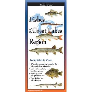 Fishes of the Great Lakes - Folding Guide Fashion Style Cheap Online
