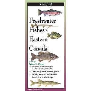 Freshwater Fishes of Eastern Canada - Folding Guide Looking For Cheap Pice