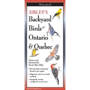 Sibley's Backyard Birds of Ontario and Quebec  - Folding Guide With Paypal Online