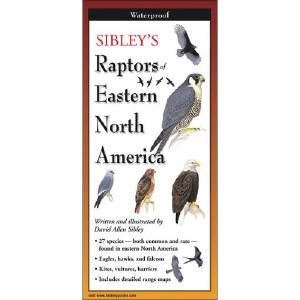 Sibley's Raptors of Eastern North America - Folding Guide Tumblr Sale Online