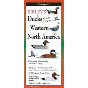 Sibley's Ducks, Geese, and Swans of Western North America - Folding Guide Visit New Online