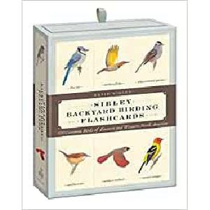 Sibley Backyard Birding Flashcards Discount Reliable