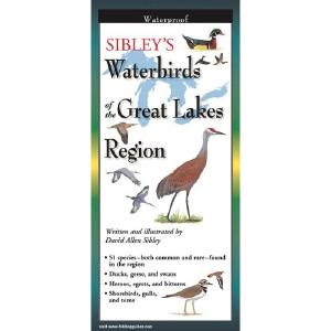 Sibley's Waterbirds of the Great Lakes - Folding Guide Free Shipping Manchester Great Sale