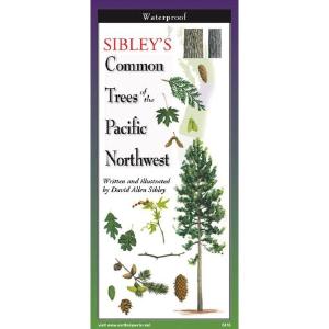Sibley's Trees of the Pacific Northwest  - Folding Guide View Cheap Pice