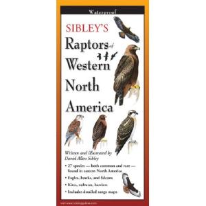 Sibley's Raptors of Western North America - Folding Guide Original Cheap Online