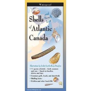 Shells of Atlantic Canada - Folding Guide 2025 Online